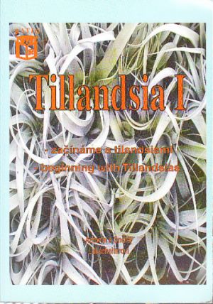 Tillandsia 1 od Antonín a Ondřej Lukscheiterovi