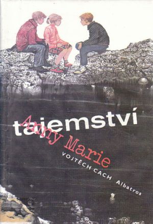 Tajemství Anny Marie od Vojtěch Cach