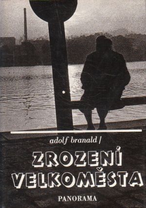 Zrození velkoměsta od Adolf Branald