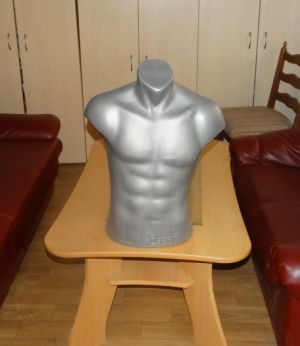 Pánské torso, krátké stříbrné.