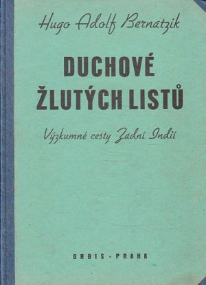 Duchové žlutých listů od Hugo Adolf Bernatzik