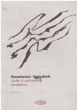 Duše s vytrhanou podlahou od Rostislav Valušek