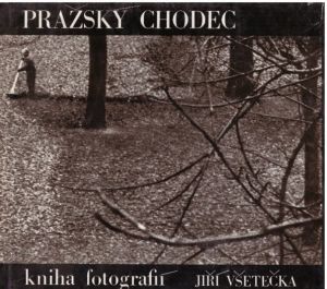 Pražský chodec od Jiří Všetečka