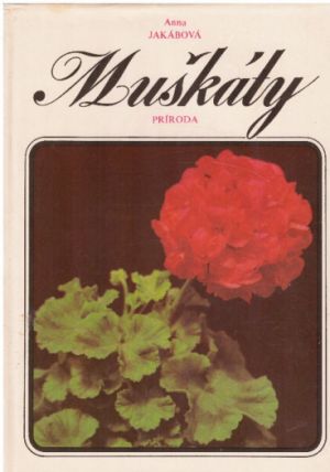 Muškáty od Anna Jakábová