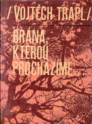 Brána kterou procházíme od Vojtěch Trapl