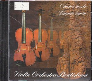 Violin Orchestra Bratislava